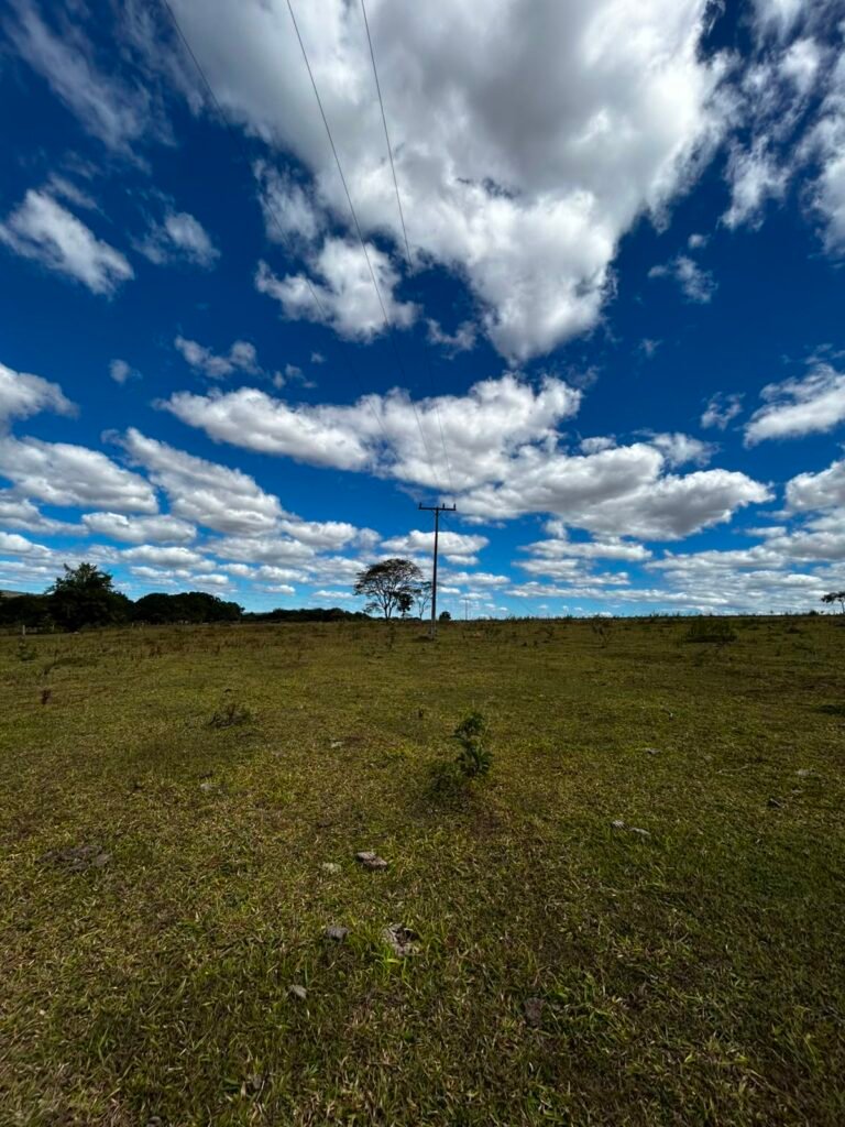 🌿 Fazenda à Venda | Água em Abundância e Excelente Potencial Produtivo na Chapada dos Veadeiros