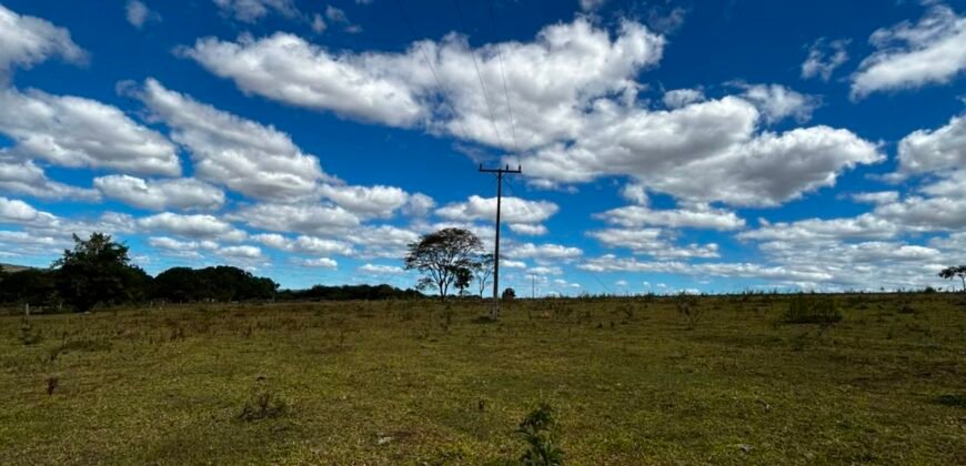 🌿 Fazenda à Venda | Água em Abundância e Excelente Potencial Produtivo na Chapada dos Veadeiros