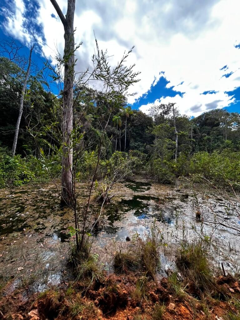 🌿 Fazenda à Venda | Água em Abundância e Excelente Potencial Produtivo na Chapada dos Veadeiros
