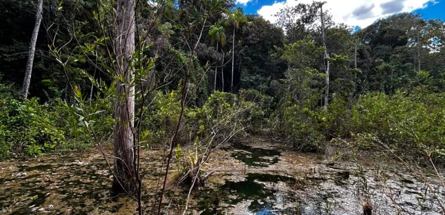 🌿 Fazenda à Venda | Água em Abundância e Excelente Potencial Produtivo na Chapada dos Veadeiros