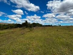 🌿 Fazenda à Venda | Água em Abundância e Excelente Potencial Produtivo na Chapada dos Veadeiros 🌿 Fazenda à Venda | Água em Abundância e Excelente Potencial Produtivo na Chapada dos Veadeiros