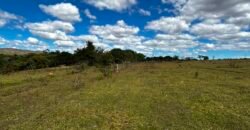 🌿 Fazenda à Venda | Água em Abundância e Excelente Potencial Produtivo na Chapada dos Veadeiros