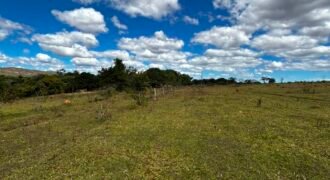🌿 Fazenda à Venda | Água em Abundância e Excelente Potencial Produtivo na Chapada dos Veadeiros 🌿 Fazenda à Venda | Água em Abundância e Excelente Potencial Produtivo na Chapada dos Veadeiros