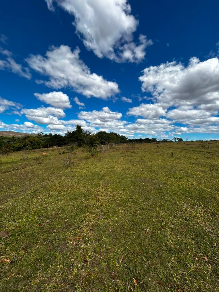 🌿 Fazenda à Venda | Água em Abundância e Excelente Potencial Produtivo na Chapada dos Veadeiros