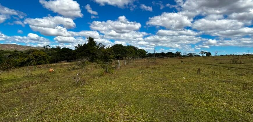 🌿 Fazenda à Venda | Água em Abundância e Excelente Potencial Produtivo na Chapada dos Veadeiros