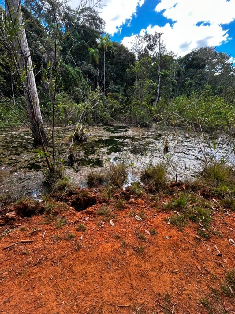 🌿 Fazenda à Venda | Água em Abundância e Excelente Potencial Produtivo na Chapada dos Veadeiros