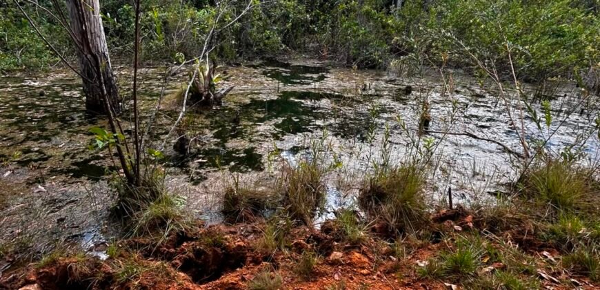🌿 Fazenda à Venda | Água em Abundância e Excelente Potencial Produtivo na Chapada dos Veadeiros