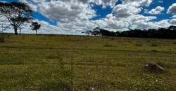 🌿 Fazenda à Venda | Água em Abundância e Excelente Potencial Produtivo na Chapada dos Veadeiros
