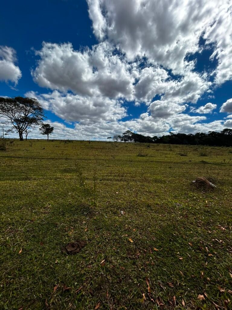🌿 Fazenda à Venda | Água em Abundância e Excelente Potencial Produtivo na Chapada dos Veadeiros