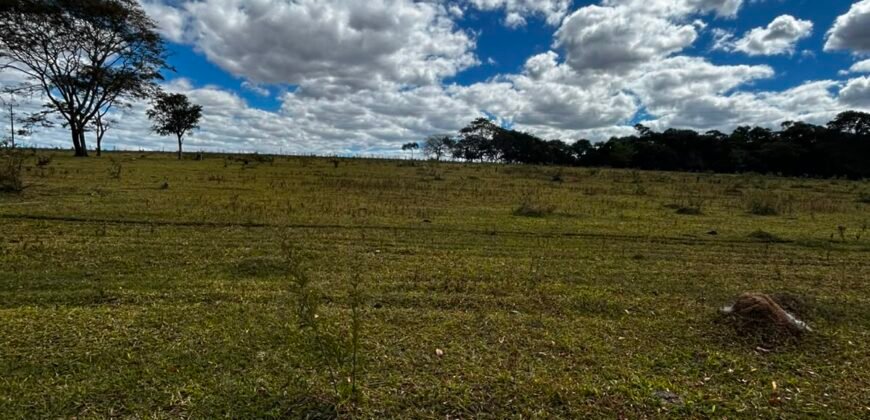 🌿 Fazenda à Venda | Água em Abundância e Excelente Potencial Produtivo na Chapada dos Veadeiros