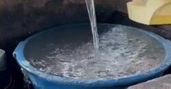 🌿 Fazenda à Venda | Água em Abundância e Excelente Potencial Produtivo na Chapada dos Veadeiros