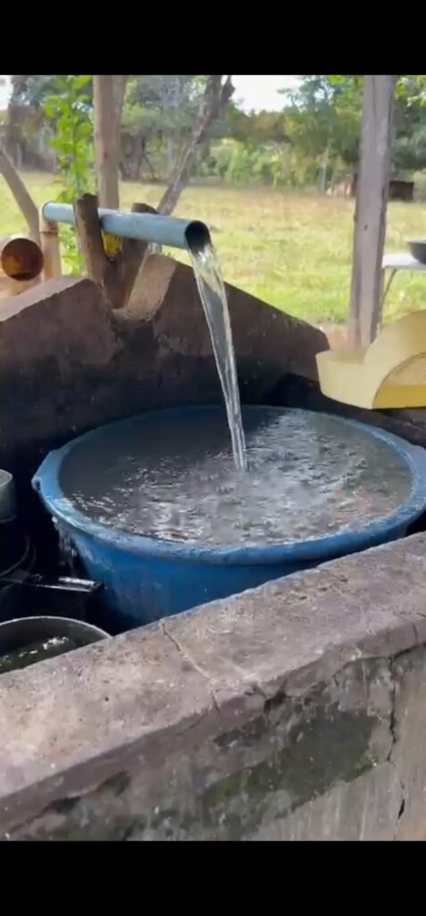 🌿 Fazenda à Venda | Água em Abundância e Excelente Potencial Produtivo na Chapada dos Veadeiros