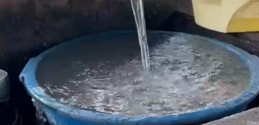 🌿 Fazenda à Venda | Água em Abundância e Excelente Potencial Produtivo na Chapada dos Veadeiros