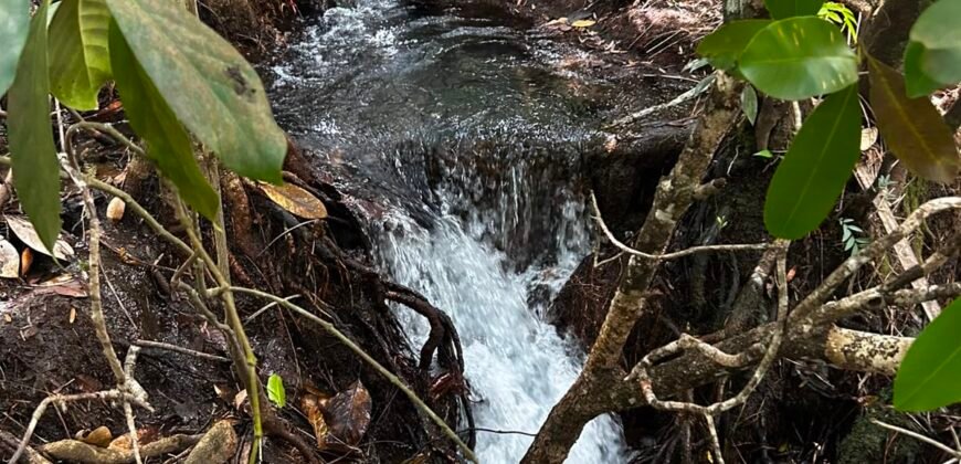 🌿 Fazenda à Venda | Água em Abundância e Excelente Potencial Produtivo na Chapada dos Veadeiros