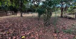 🌿 Fazenda à Venda | Água em Abundância e Excelente Potencial Produtivo na Chapada dos Veadeiros