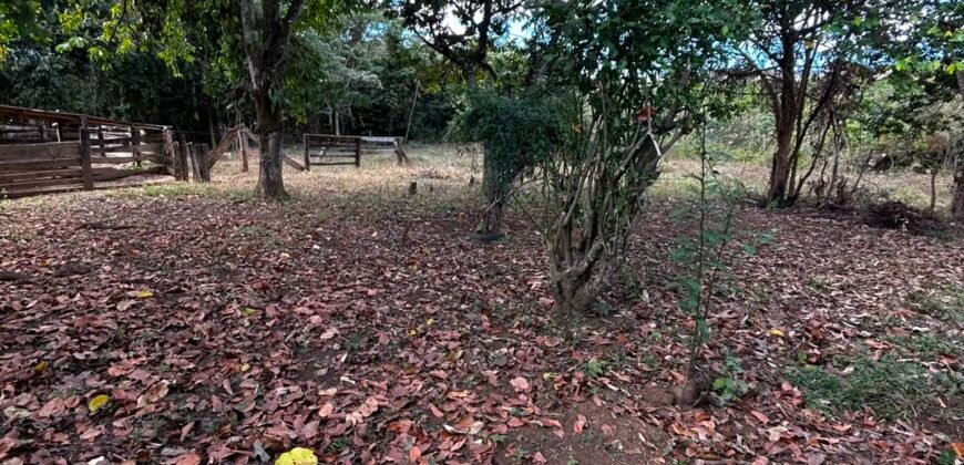 🌿 Fazenda à Venda | Água em Abundância e Excelente Potencial Produtivo na Chapada dos Veadeiros