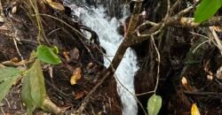 🌿 Fazenda à Venda | Água em Abundância e Excelente Potencial Produtivo na Chapada dos Veadeiros