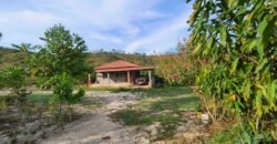 Casa – Terreno 5.000m2 – km 14, entre Alto Paraíso e São Jorge Casa – Terreno 5.000m2 – km 14, entre Alto Paraíso e São Jorge