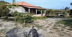 Casa – Terreno 5.000m2 – km 14, entre Alto Paraíso e São Jorge Casa – Terreno 5.000m2 – km 14, entre Alto Paraíso e São Jorge
