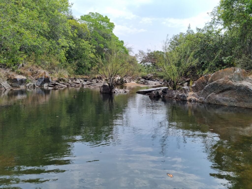 Linda chácara a venda com tudo montado em Teresina – GO