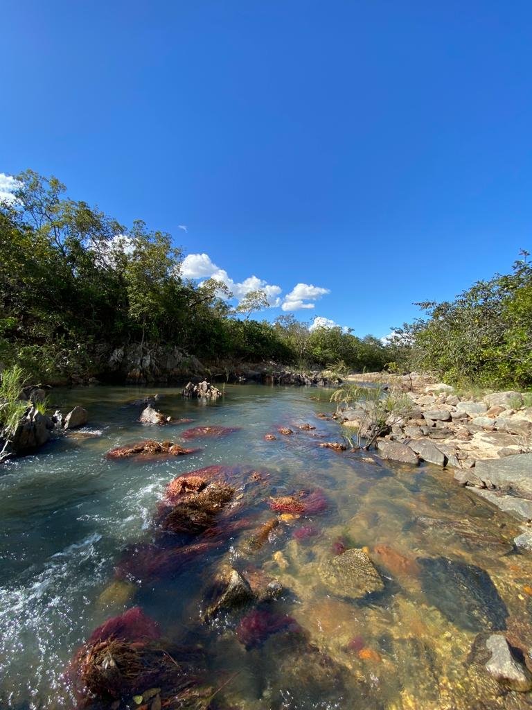 Linda chácara a venda com tudo montado em Teresina – GO