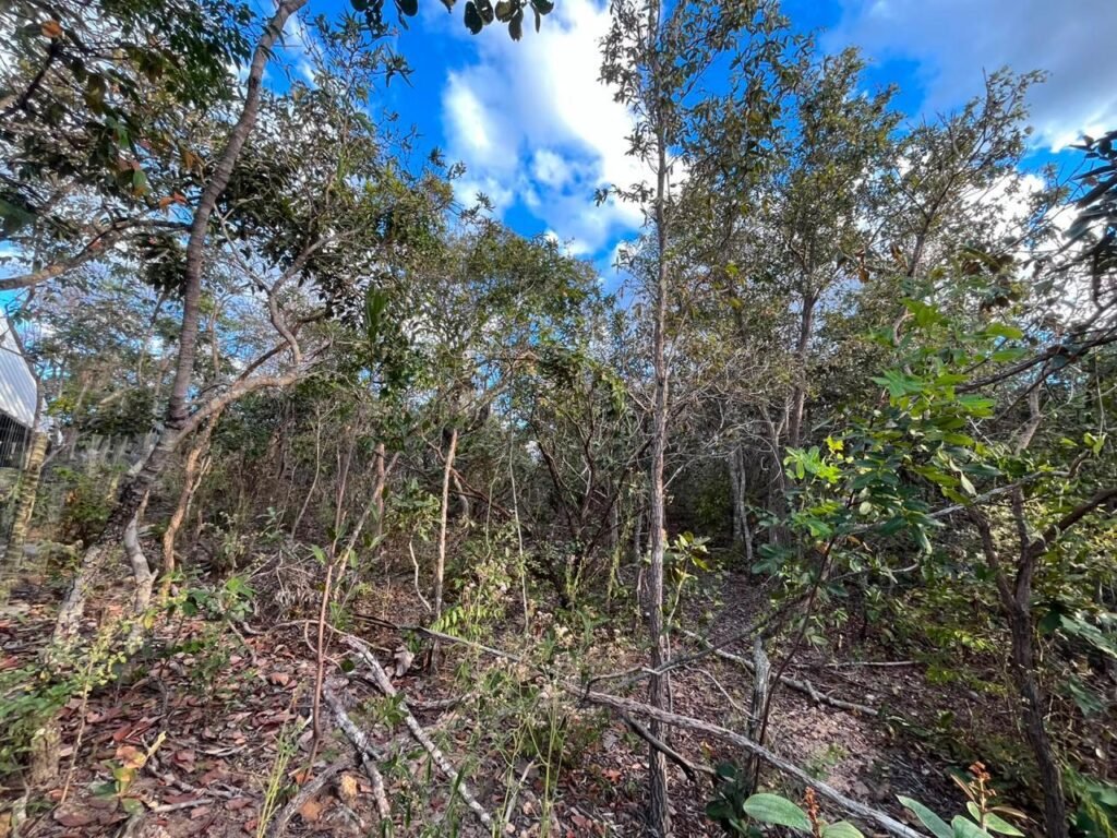 Chalé – Lote 1.300m2 – Eldorado 2 – Alto Paraíso de Goiás