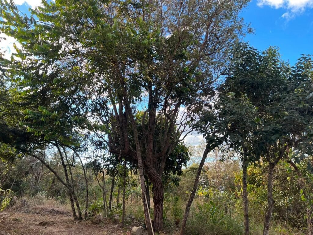 Chalé – Lote 1.300m2 – Eldorado 2 – Alto Paraíso de Goiás