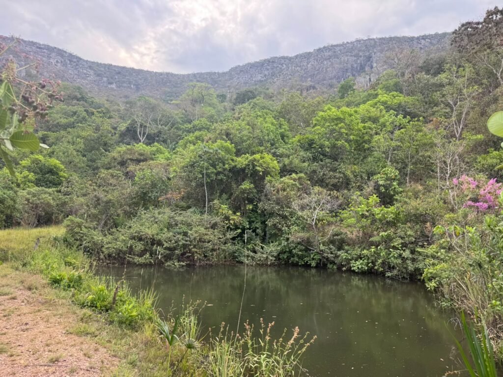 🌈 *FAZENDA RECANTO ARCO-ÍRIS À VENDA – 175,24 HECTARES | CAVALCANTE/GO*
