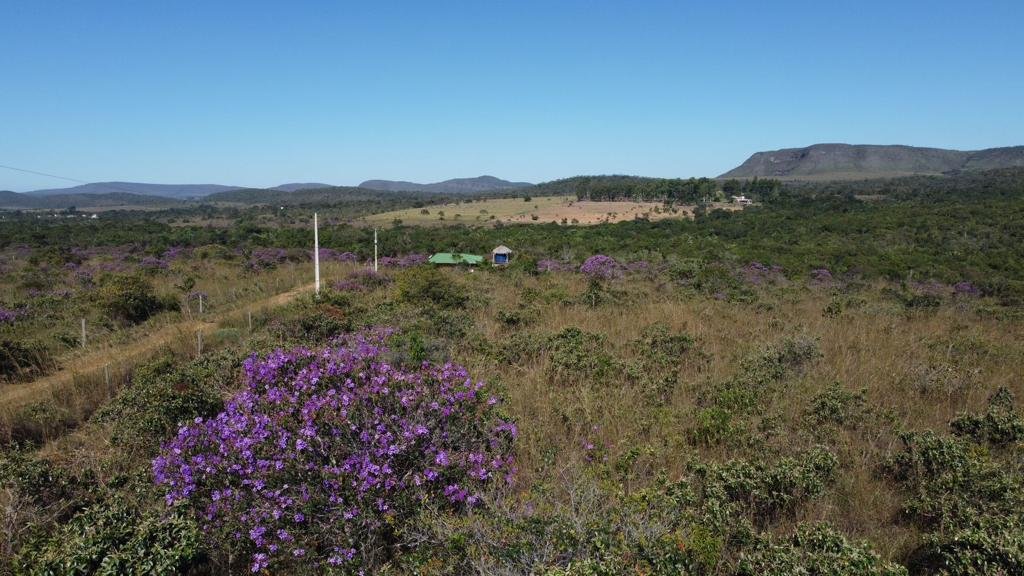 Chapara 4ha – Fazendo Novo Rumo – 14 de Alto Paraíso sentido São Jorge