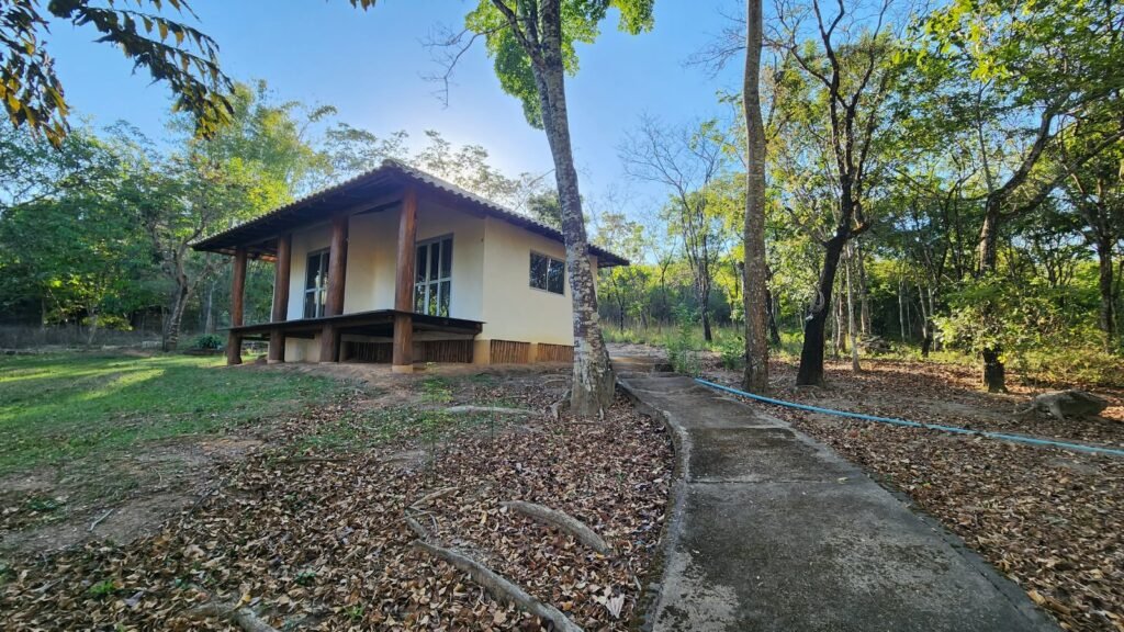 🌿 Propriedade Exclusiva de 4 Hectares no Morrão com 3 Casas, Mirante e Natureza Preservada – R$ 4 Milhões