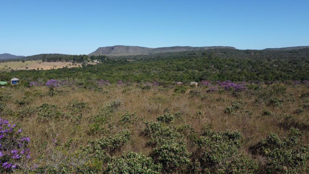 Chapara 4ha – Fazendo Novo Rumo – 14 de Alto Paraíso sentido São Jorge