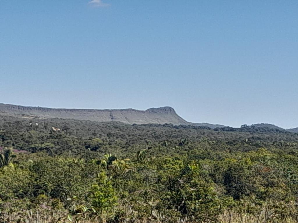 Chapara 4ha – Fazendo Novo Rumo – 14 de Alto Paraíso sentido São Jorge