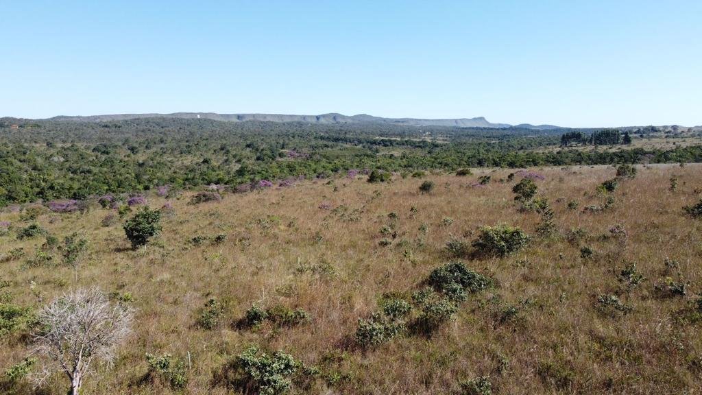 Chapara 4ha – Fazendo Novo Rumo – 14 de Alto Paraíso sentido São Jorge