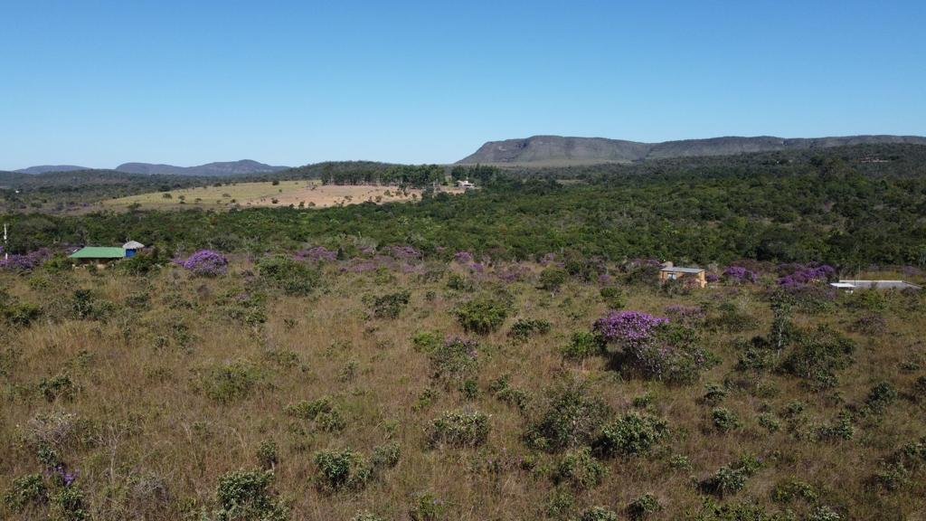 Chapara 4ha – Fazendo Novo Rumo – 14 de Alto Paraíso sentido São Jorge